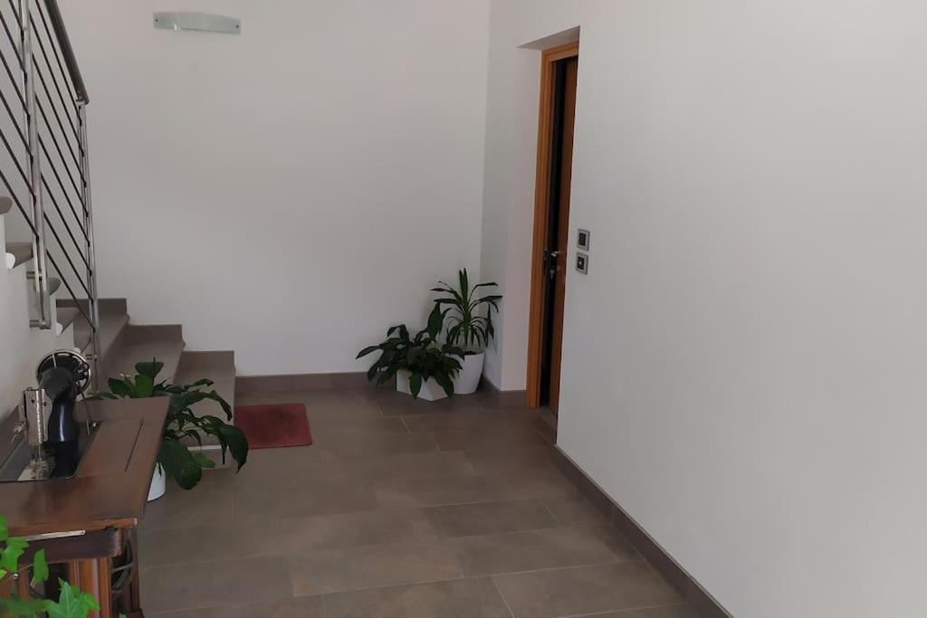 Casa Mirella Apartment Vigolo Vattaro Exterior photo